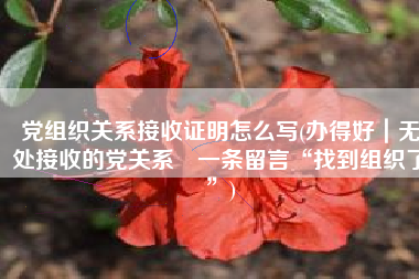 党组织关系接收证明怎么写(办得好｜无处接收的党关系 一条留言“找到组织了”)