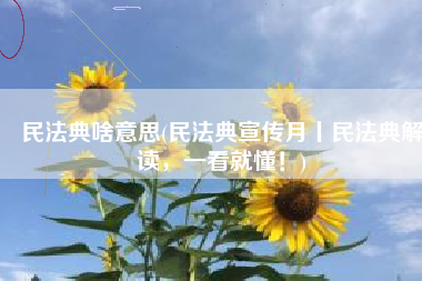 民法典啥意思(民法典宣传月丨民法典解读，一看就懂！)