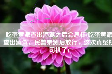 吃蛋黄派查出酒驾之后会怎样(吃蛋黄派查出酒驾，民警亲测后放行，这次真冤枉司机了)