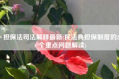 担保法司法解释最新(民法典担保制度的28个重点问题解读)