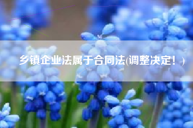乡镇企业法属于合同法(调整决定！)