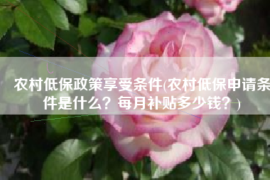 农村低保政策享受条件(农村低保申请条件是什么？每月补贴多少钱？)
