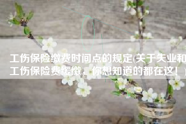 工伤保险缴费时间点的规定(关于失业和工伤保险费缓缴，你想知道的都在这！)