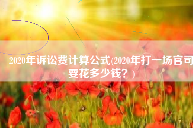 2020年诉讼费计算公式(2020年打一场官司要花多少钱？)