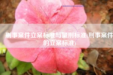 刑事案件立案标准与量刑标准(刑事案件的立案标准)