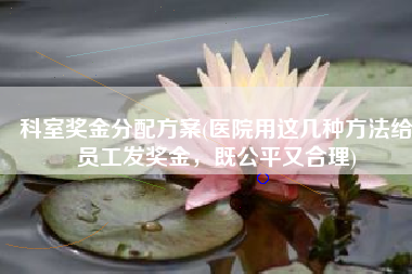 科室奖金分配方案(医院用这几种方法给员工发奖金，既公平又合理)