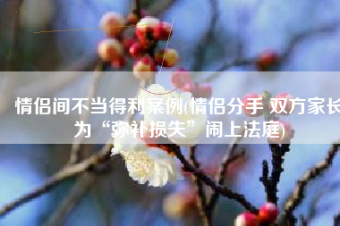 情侣间不当得利案例(情侣分手 双方家长为“弥补损失”闹上法庭)
