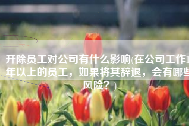 开除员工对公司有什么影响(在公司工作10年以上的员工，如果将其辞退，会有哪些风险？)