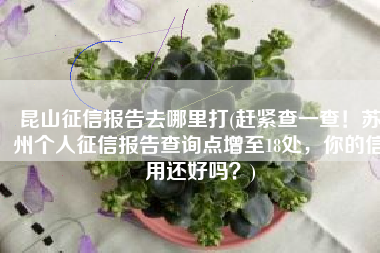 昆山征信报告去哪里打(赶紧查一查！苏州个人征信报告查询点增至18处，你的信用还好吗？)