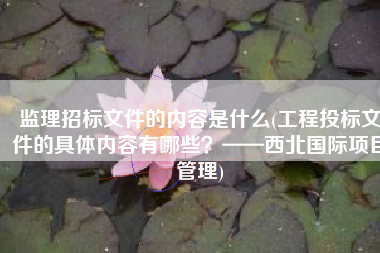 监理招标文件的内容是什么(工程投标文件的具体内容有哪些？——西北国际项目管理)
