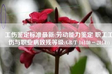 工伤鉴定标准最新(劳动能力鉴定 职工工伤与职业病致残等级(GB/T 16180－2014))
