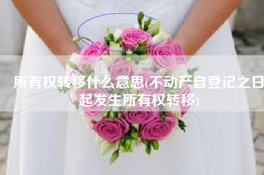 所有权转移什么意思(不动产自登记之日起发生所有权转移)