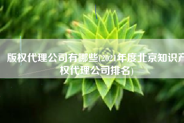 版权代理公司有哪些(2021年度北京知识产权代理公司排名)