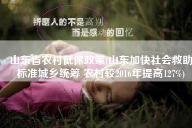 山东省农村低保政策(山东加快社会救助标准城乡统筹 农村较2016年提高127%)