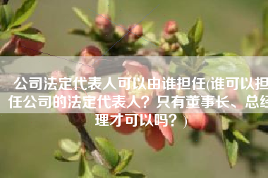 公司法定代表人可以由谁担任(谁可以担任公司的法定代表人？只有董事长、总经理才可以吗？)