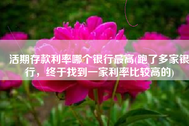 活期存款利率哪个银行最高(跑了多家银行，终于找到一家利率比较高的)