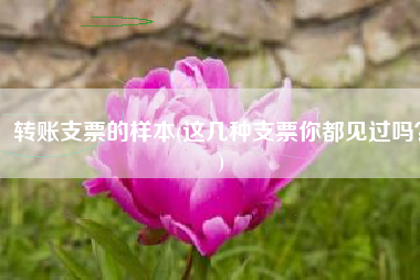转账支票的样本(这几种支票你都见过吗？)