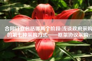 合同订立包括哪两个阶段(浅谈政府采购的第七种采购方式——框架协议采购)