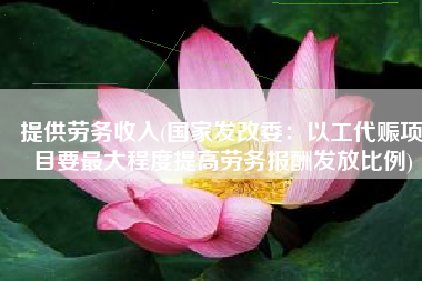 提供劳务收入(国家发改委：以工代赈项目要最大程度提高劳务报酬发放比例)