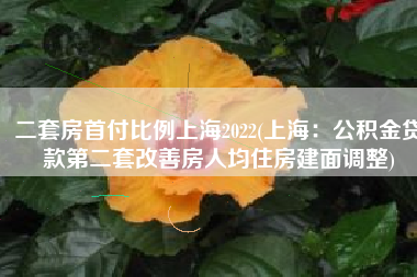 二套房首付比例上海2022(上海：公积金贷款第二套改善房人均住房建面调整)