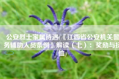 公安烈士家属待遇(《江西省公安机关警务辅助人员条例》解读（七）：奖励与抚恤)
