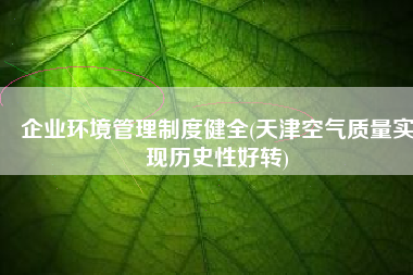 企业环境管理制度健全(天津空气质量实现历史性好转)