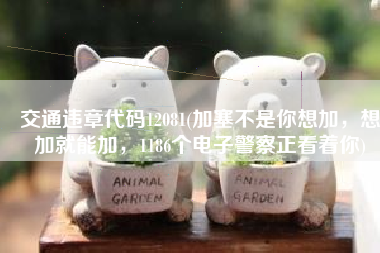 交通违章代码12081(加塞不是你想加，想加就能加，1186个电子警察正看着你)