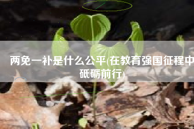 两免一补是什么公平(在教育强国征程中砥砺前行)