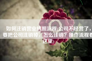 如何注销营业执照流程(公司不经营了，要把公司注销掉，怎么注销？操作流程看这里)