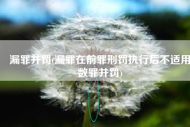 漏罪并罚(漏罪在前罪刑罚执行后不适用数罪并罚)