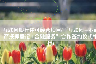 互联网银行许可经营项目(“互联网+不动产抵押登记+金融服务”合作签约仪式举行)