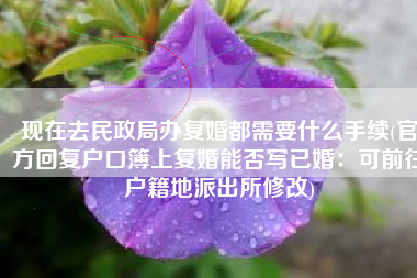 现在去民政局办复婚都需要什么手续(官方回复户口簿上复婚能否写已婚：可前往户籍地派出所修改)