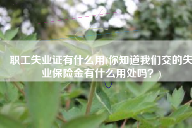 职工失业证有什么用(你知道我们交的失业保险金有什么用处吗？)