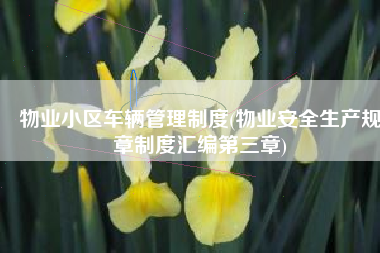 物业小区车辆管理制度(物业安全生产规章制度汇编第三章)