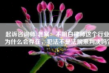 起诉咨询师(老案：不明白律师这个行业为什么会存在，犯法不是法院来判决吗？)