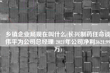 乡镇企业局现在叫什么(长兴制药任命谈伟平为公司总经理 2021年公司净利3621.99万)