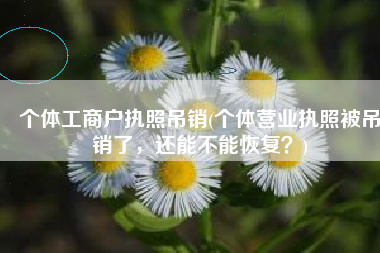 个体工商户执照吊销(个体营业执照被吊销了，还能不能恢复？)