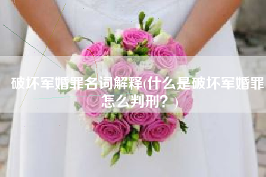 破坏军婚罪名词解释(什么是破坏军婚罪，怎么判刑？)