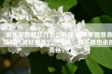 破坏军婚罪女方怎么处理(破坏军婚罪者该如何减轻罪责？“军嫂”要不要也承担责任？)