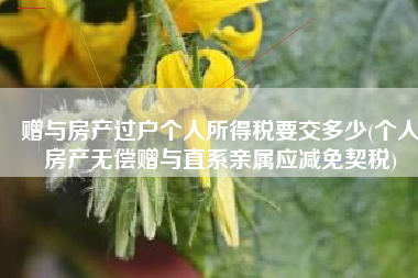 赠与房产过户个人所得税要交多少(个人房产无偿赠与直系亲属应减免契税)
