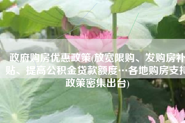 政府购房优惠政策(放宽限购、发购房补贴、提高公积金贷款额度…各地购房支持政策密集出台)
