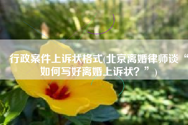 行政案件上诉状格式(北京离婚律师谈“如何写好离婚上诉状？”)