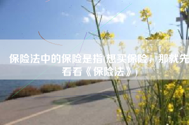 保险法中的保险是指(想买保险，那就先看看《保险法》)