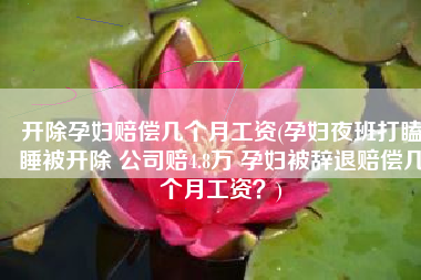 开除孕妇赔偿几个月工资(孕妇夜班打瞌睡被开除 公司赔4.8万 孕妇被辞退赔偿几个月工资？)