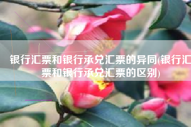 银行汇票和银行承兑汇票的异同(银行汇票和银行承兑汇票的区别)