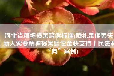 河北省精神损害赔偿标准(婚礼录像丢失，新人索要精神损害赔偿金获支持丨民法君“典”案例)