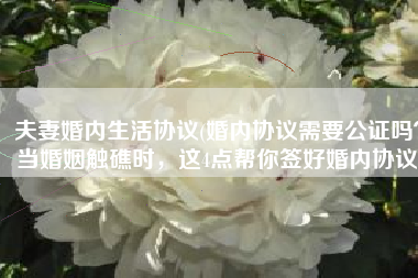 夫妻婚内生活协议(婚内协议需要公证吗？当婚姻触礁时，这4点帮你签好婚内协议)