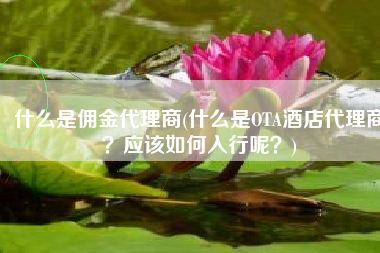 什么是佣金代理商(什么是OTA酒店代理商？应该如何入行呢？)