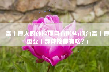 富士康入职体检项目有哪些(烟台富士康重要干部体检都有啥？)