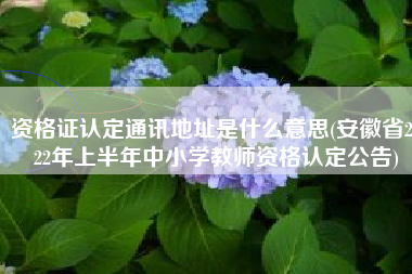 资格证认定通讯地址是什么意思(安徽省2022年上半年中小学教师资格认定公告)